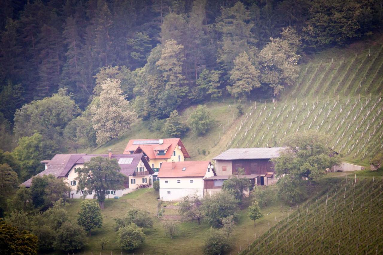 Апартаменты Weinbau Pronegg Vlg. Krainz Лойчах Экстерьер фото